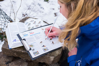 junge-frau-bei-der-wintervogel-zählung